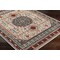 Livabliss Tevazu TVZ-2338 Machine Crafted Area Rug TVZ2338-679 - alternate 5